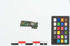 Foto von Bronzekopfschmuckring (NHMW-PRAE-026641)